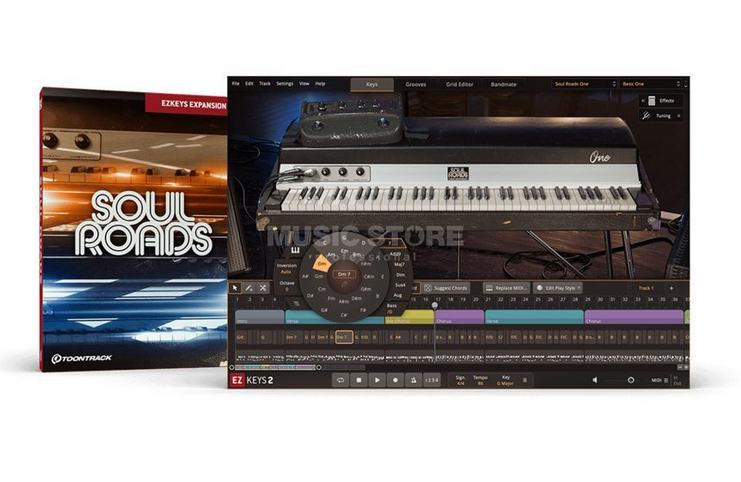 Toontrack Toontrack EKX EZKeys - Soul Roads